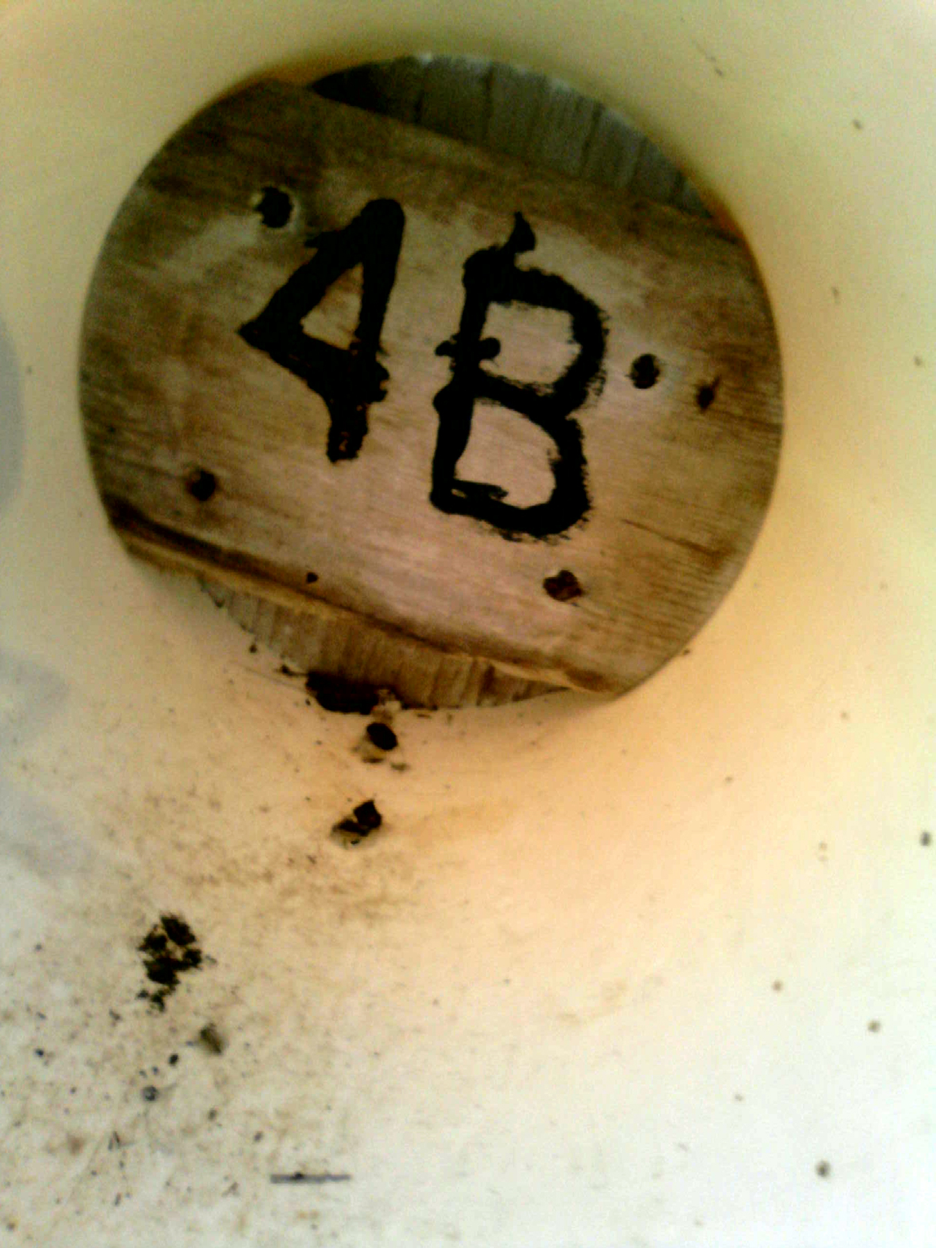 OPAS 4B